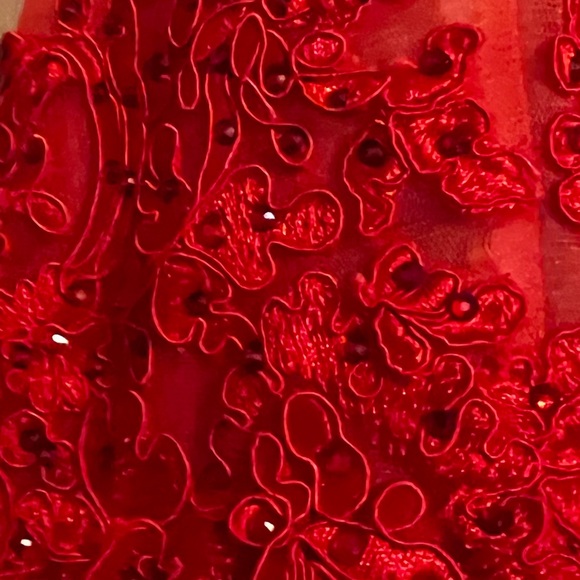 Red Homecoming Dress (Sherri Hill) - Picture 3 of 7